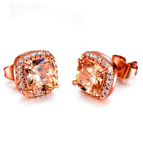 Image of Luxury Earrings