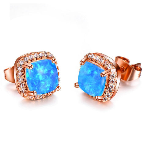 Image of Luxury Earrings