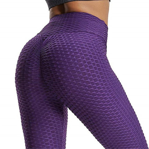 Image of Gym Fitness Pants Legins  Activewear Joggers